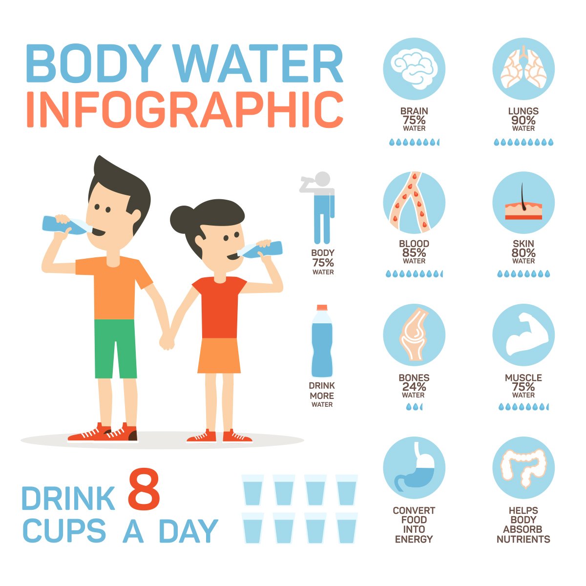 body water infographic, drinking water infographic